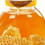 Мёд из лесного разнотравья, Мёд из трав, Пчелиный мёд фото