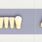 Искусственные трехслойные акриловые зубы завода «PoliDent» d.o.o. Словения. фото
