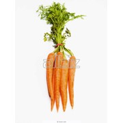 Пюре морковное фотография