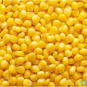 Кукуруза замороженная (зерно) фото