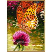 Картина по номерам Желтая бабочка фотография