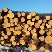 Строительная древесина