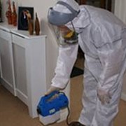 Услуги окуривания зданий для уничтожения насекомых-паразитов фото