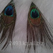 Серьги из перьев фото