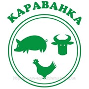 БМВД для свиней Рост 20% (от 20 до 45 кг ж.в.). Украина, купить, цена. фото