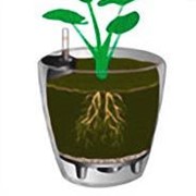 Емкости для растений LECHUZA