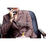 Услуги по поиску и подбору персонала фото