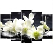 Пятипанельная модульная картина 80 х 140 см Маленькие белые орхидеи на черных камнях фото