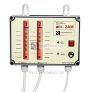 Детектор повреждений стационарный двухканальный многоуровневый ПИККОН ДПС-2АМ (КУРС-ДСАМ2)