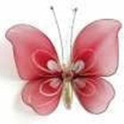 Бабочка средняя красная 19*13 см фото