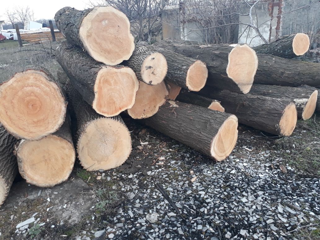 Купить Дерево Новокузнецк