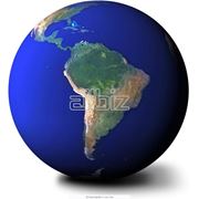 Услуги по организации экспорта фото