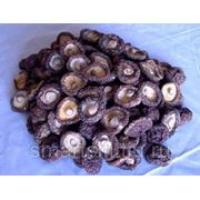 Сушеные грибы шиитаке, 100 г