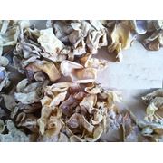 Сушеные грибы древесные, белые Инъер, 100г, пр-во Китай фотография