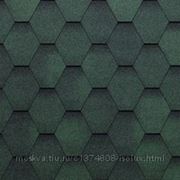Черепица гибкая Tegola ТОП-Шингл Смальто зеленый фотография
