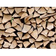 Дрова и топливные древесные брикеты фотография
