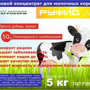 БВМК РУФИД™-ЛАКТО для молочных коров