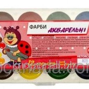 Акварельные краски медовые "Тетрада" 12 цв. РАДУГА 81093