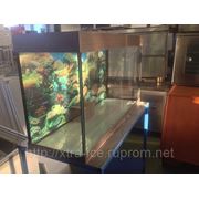 Аквариумы для живой рыбы на подставке 500л 150х110х125 фотография