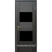 Дверь межкомнатная Profil Doors 21x (черный триплекс)