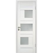 Межкомнатная дверь Profil Doors 39x