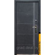 Дверь входная металлическая Магна МД-18 фотография