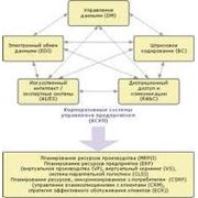 Информационные технологии1 фото