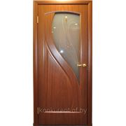Дверь Ростра шпон Камелия ДО фотография