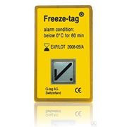 Температурный индикатор замораживания Freeze-tag (пр-во Швейцария) фото