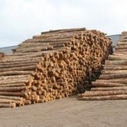 Дерево, пиломатериалы, Экспорт в страны средней Азии фото