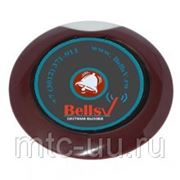 BellsV-305- кнопка вызова персонала