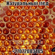 Мёд натуральный горный фотография