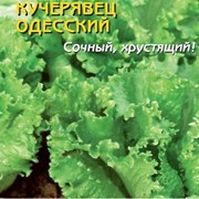 Салат Одесский Кучерявец, Семена Салата, семена салата оптом, купить семена салата, семена купить, семена оптом.