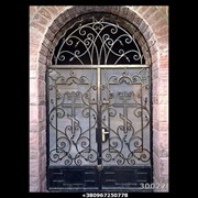 Кованные двери КД 30022 фото