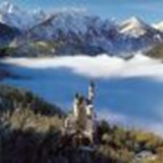Тур в Германию. фото