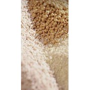 Трикальцийфосфат (ТКФ) кормовой фото