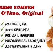 Говорящий хомяк Woody O'Time (Оригинал). фото