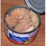 Консервы рыбные фото