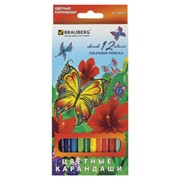 Карандаши цветные BRAUBERG “Wonderful butterfly“, 12 цветов, заточенные, картонная упаковка с блестками, фотография