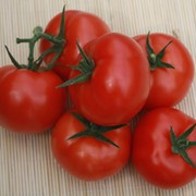 Семена томатов F1 Нью-Васюки фото
