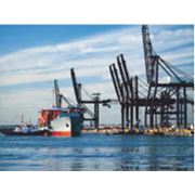 таможенно-брокерские услуги фото