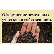 Оформление земельного участка в собственность фото