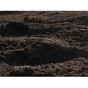 Земля сеяная (чернозем) фото