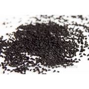 Семена черного тмина фото