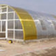 Теплицы промышленные фото