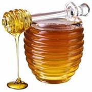 Мед натуральный от производителя Украина, экспорт
