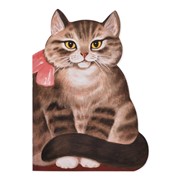 Книга Лабиринт Котик-коток фото