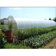 Теплица Урожай ПК 3*4м с поликарбонатом фото