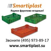 Ящики для ягод фруктовые фото