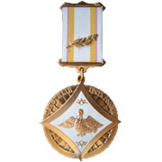 Медаль Почетный гость России